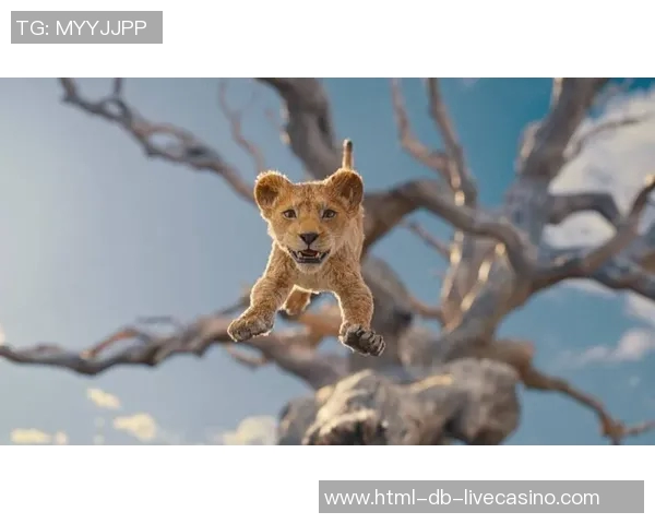 美洲足球先生的荣耀之路与传奇故事揭秘 美洲足球先生的荣耀之路与传奇故事揭秘