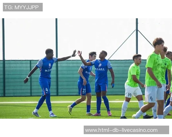 申花与大连激战正酣球迷期待精彩对决与精彩进球瞬间